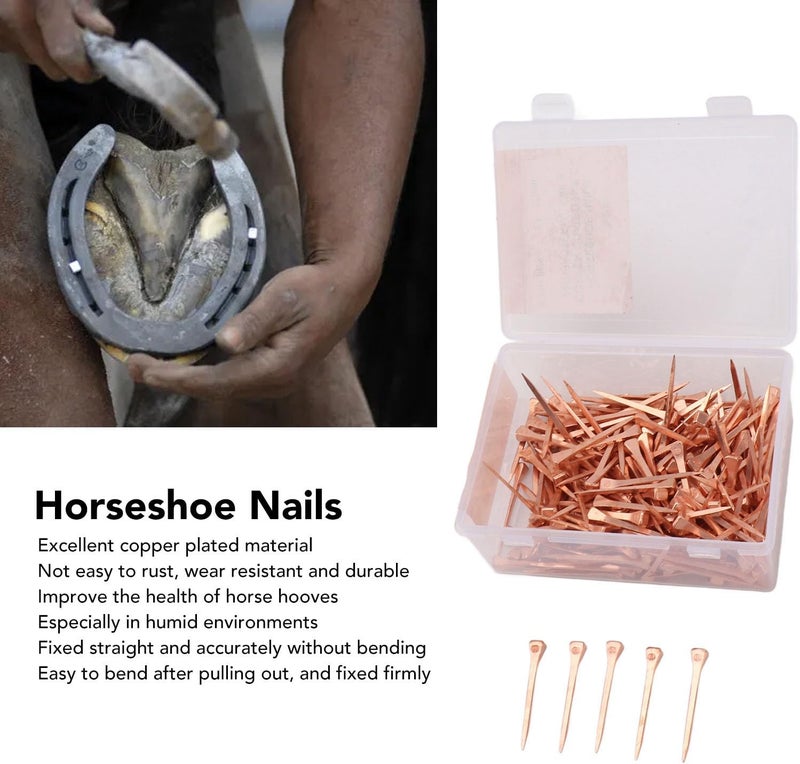 BORDSTRACT 250Pcs Horseshoe Nails, Copper Plating Shoeing Nails with Plastic Box, Copper Plated Horseshoe Nails, Equestrian Riding Equipment, for Raise Livestock(45mm Copper-Plated Nail E3) - Image 4
